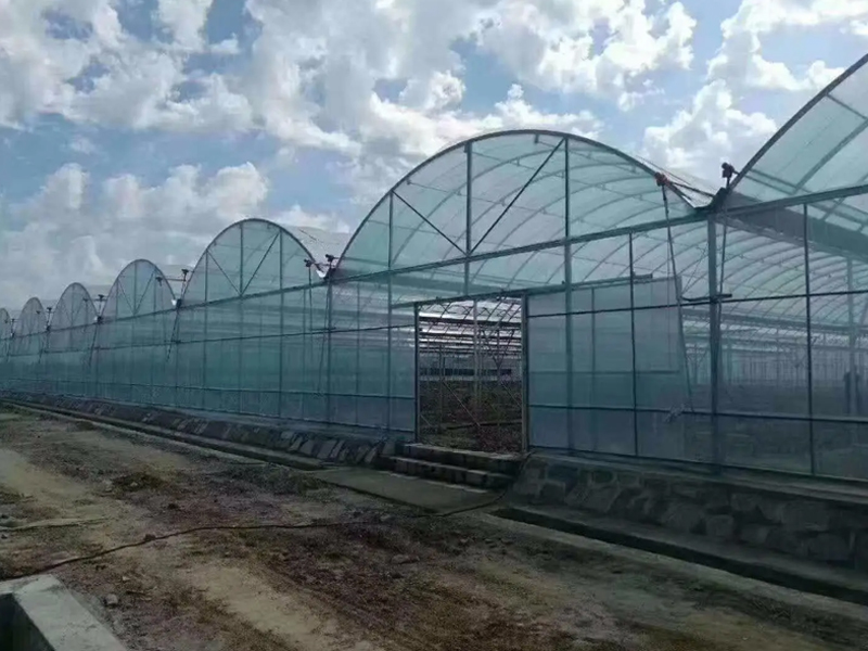 連棟溫室