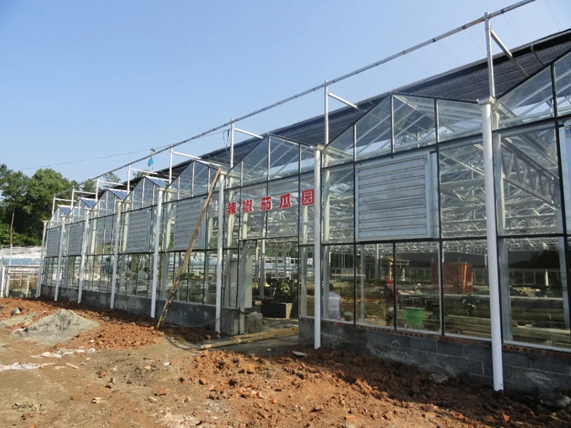 陽光板溫室