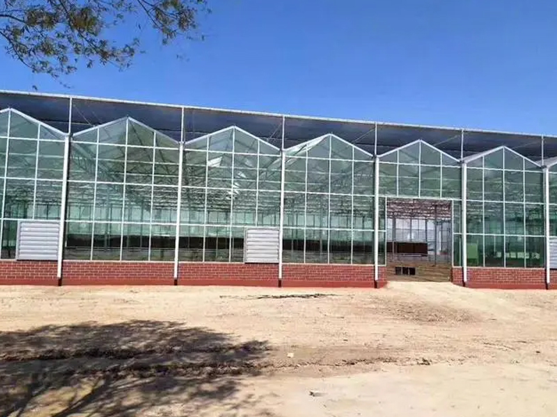 陽光板溫室