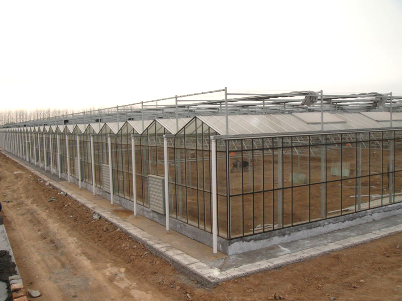 陽(yáng)光板溫室