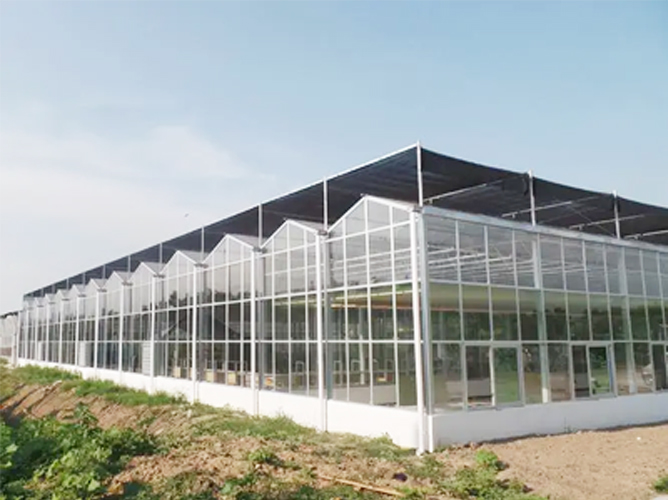 廣東玻璃連棟1.2萬(wàn)平