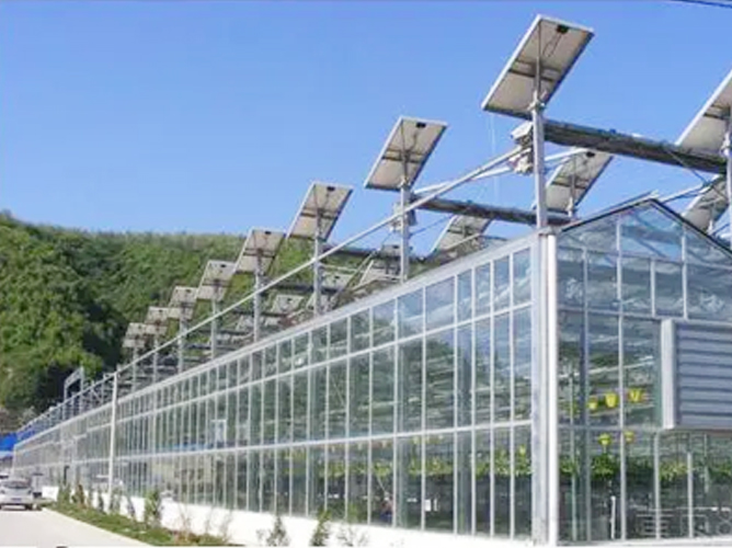 內(nèi)蒙玻璃、日光溫室160余棟3.5萬(wàn)平