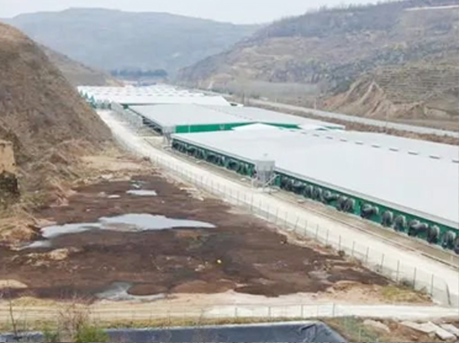 陜西養(yǎng)殖大棚6萬(wàn)平