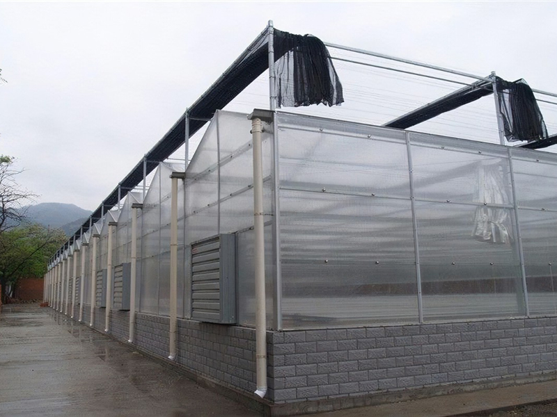 陽光板溫室