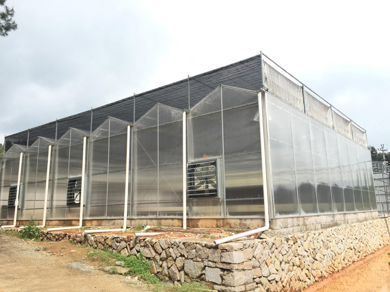 陽光板溫室